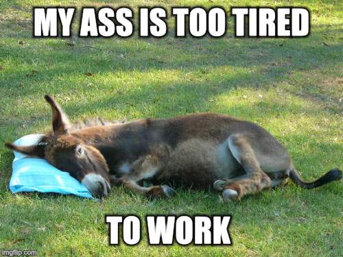 MY ASS IS TOO TIRED TO WORK | made w/ Imgflip meme maker