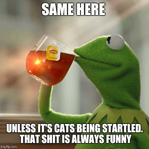 But That's None Of My Business Meme | SAME HERE UNLESS IT'S CATS BEING STARTLED. THAT SHIT IS ALWAYS FUNNY | image tagged in memes,but thats none of my business,kermit the frog | made w/ Imgflip meme maker