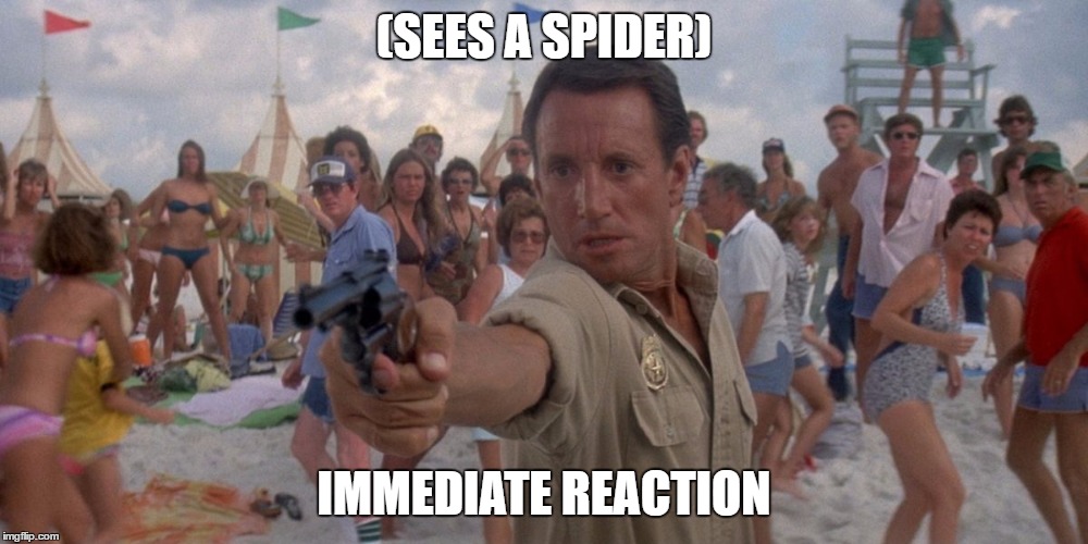 Brody loses it | (SEES A SPIDER); IMMEDIATE REACTION | image tagged in brody loses it | made w/ Imgflip meme maker