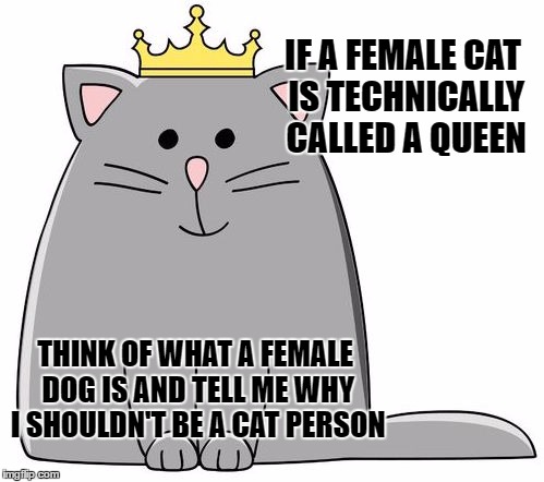 queen cat | IF A FEMALE CAT IS TECHNICALLY CALLED A QUEEN; THINK OF WHAT A FEMALE DOG IS AND TELL ME WHY I SHOULDN'T BE A CAT PERSON | image tagged in cats | made w/ Imgflip meme maker