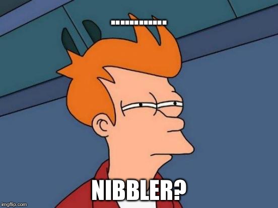 Futurama Fry Meme | ............ NIBBLER? | image tagged in memes,futurama fry | made w/ Imgflip meme maker