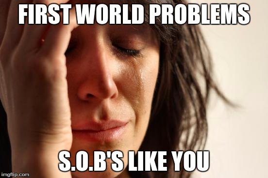 First World Problems Meme | FIRST WORLD PROBLEMS S.O.B'S LIKE YOU | image tagged in memes,first world problems | made w/ Imgflip meme maker