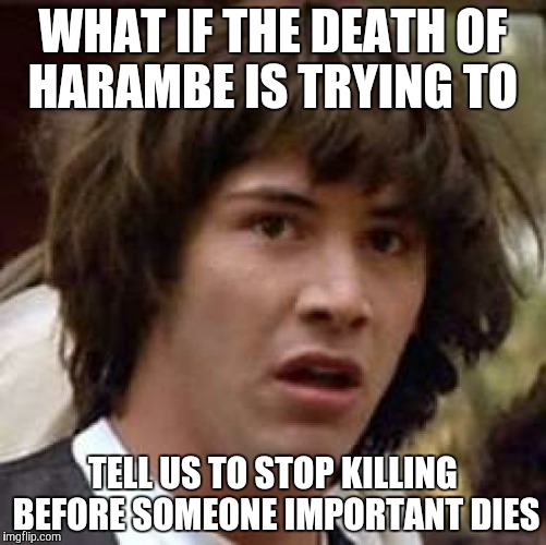 Conspiracy Keanu Meme | WHAT IF THE DEATH OF HARAMBE IS TRYING TO; TELL US TO STOP KILLING BEFORE SOMEONE IMPORTANT DIES | image tagged in memes,conspiracy keanu | made w/ Imgflip meme maker