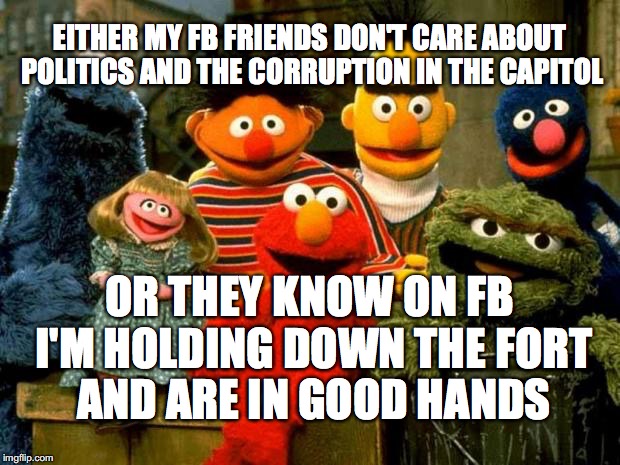 Elmo and Friends | EITHER MY FB FRIENDS DON'T CARE ABOUT POLITICS AND THE CORRUPTION IN THE CAPITOL; OR THEY KNOW ON FB I'M HOLDING DOWN THE FORT AND ARE IN GOOD HANDS | image tagged in elmo and friends | made w/ Imgflip meme maker