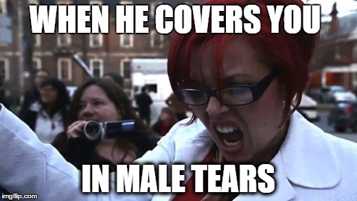 When he covers you in male tears | WHEN HE COVERS YOU; IN MALE TEARS | image tagged in feminism,feminist,angry feminist,triggered,sjw,big red feminist | made w/ Imgflip meme maker