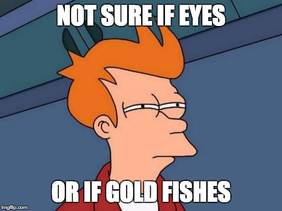 NOT SURE IF EYES OR IF GOLD FISHES | image tagged in memes,futurama fry | made w/ Imgflip meme maker