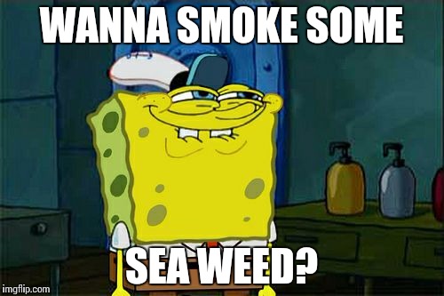 Don't You Squidward | WANNA SMOKE SOME; SEA WEED? | image tagged in memes,dont you squidward | made w/ Imgflip meme maker