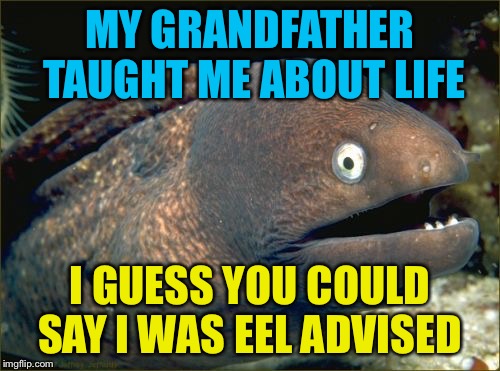 Bad Joke Eel | MY GRANDFATHER TAUGHT ME ABOUT LIFE; I GUESS YOU COULD SAY I WAS EEL ADVISED | image tagged in memes,bad joke eel | made w/ Imgflip meme maker