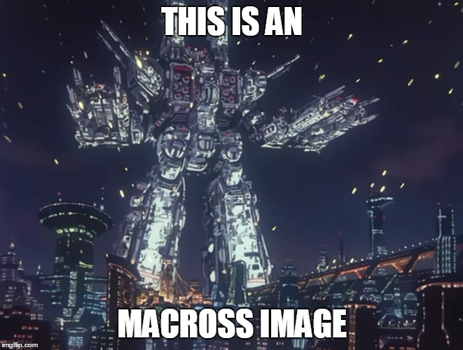 THIS IS AN; MACROSS IMAGE | image tagged in macross image | made w/ Imgflip meme maker