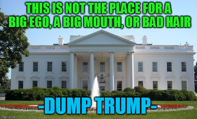 White House | THIS IS NOT THE PLACE FOR A BIG EGO, A BIG MOUTH, OR BAD HAIR; -DUMP TRUMP- | image tagged in white house,trump,dump trump,nevertrump,drumpf,donald trump | made w/ Imgflip meme maker