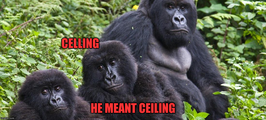 CELLING HE MEANT CEILING | made w/ Imgflip meme maker