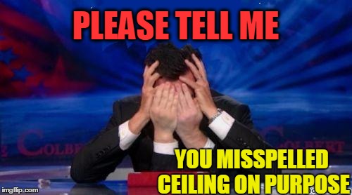 stephen colbert face palms | PLEASE TELL ME YOU MISSPELLED CEILING ON PURPOSE | image tagged in stephen colbert face palms | made w/ Imgflip meme maker