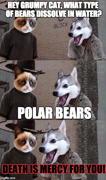 Like Dissolves like | HEY GRUMPY CAT, WHAT TYPE OF BEARS DISSOLVE IN WATER? POLAR BEARS; DEATH IS MERCY FOR YOU! | image tagged in grumpy cat and bad pun dog,funny,memes,funny memes,bad pun dog | made w/ Imgflip meme maker