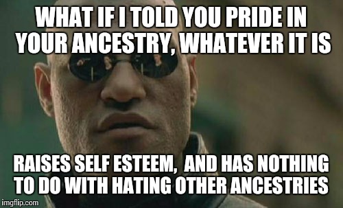 Irish, Nigerian,  Philippino, Swedish,  Okinawan, Iroquois, Chilean, Italian,  German,  Jewish,  Armenian, etc one species. | WHAT IF I TOLD YOU PRIDE IN YOUR ANCESTRY, WHATEVER IT IS; RAISES SELF ESTEEM,  AND HAS NOTHING TO DO WITH HATING OTHER ANCESTRIES | image tagged in memes,matrix morpheus | made w/ Imgflip meme maker