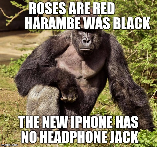 ROSES ARE RED            HARAMBE WAS BLACK; THE NEW IPHONE HAS NO HEADPHONE JACK | image tagged in harambe | made w/ Imgflip meme maker