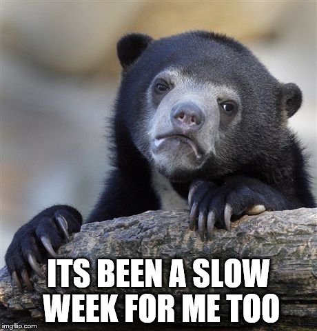 Confession Bear Meme | ITS BEEN A SLOW WEEK FOR ME TOO | image tagged in memes,confession bear | made w/ Imgflip meme maker