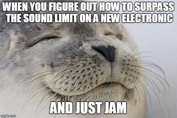 I have never been so satisfied after a year of quiet music. | WHEN YOU FIGURE OUT HOW TO SURPASS THE SOUND LIMIT ON A NEW ELECTRONIC; AND JUST JAM | image tagged in memes,satisfied seal | made w/ Imgflip meme maker
