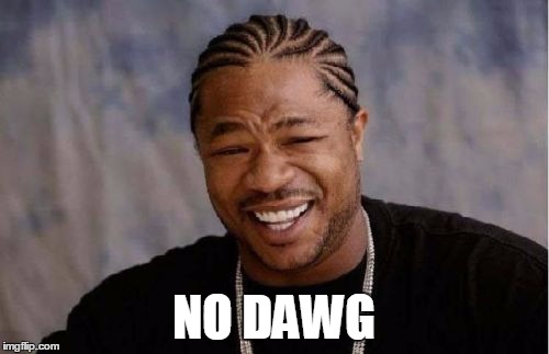 Yo Dawg Heard You Meme | NO DAWG | image tagged in memes,yo dawg heard you | made w/ Imgflip meme maker