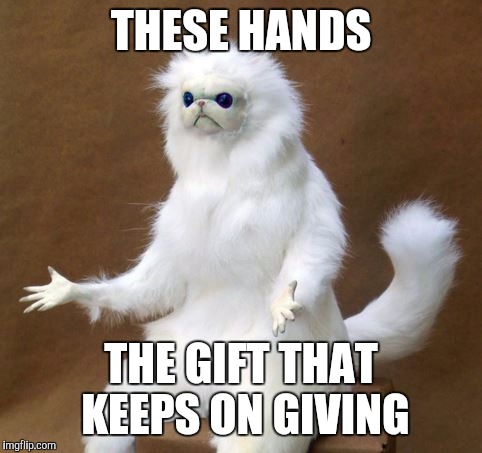 Cat With Hands | THESE HANDS; THE GIFT THAT KEEPS ON GIVING | image tagged in cat with hands | made w/ Imgflip meme maker