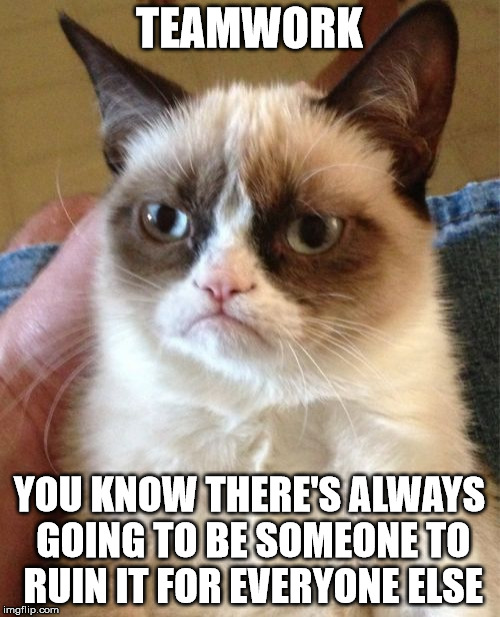 Grumpy Cat Meme | TEAMWORK YOU KNOW THERE'S ALWAYS GOING TO BE SOMEONE TO RUIN IT FOR EVERYONE ELSE | image tagged in memes,grumpy cat | made w/ Imgflip meme maker