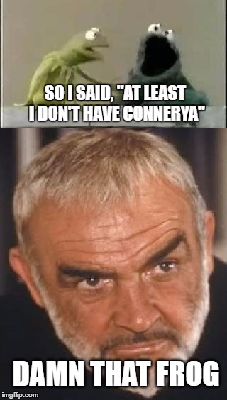 The Battle Continues... | SO I SAID, "AT LEAST I DON'T HAVE CONNERYA"; DAMN THAT FROG | image tagged in memes,sean connery  kermit | made w/ Imgflip meme maker