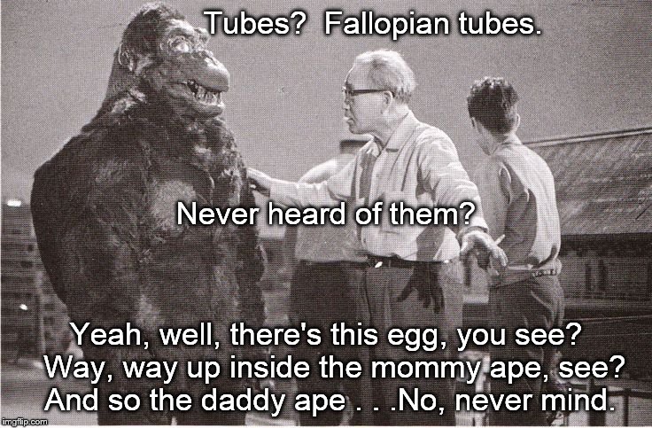 Explaining the facts of life to young Kong, who has just met a gorgeous actress from New York, New York. | Tubes?  Fallopian tubes. Yeah, well, there's this egg, you see?  Way, way up inside the mommy ape, see?  And so the daddy ape . . .No, never | image tagged in kong with director,fellopian tubes,facts of life,never mind | made w/ Imgflip meme maker
