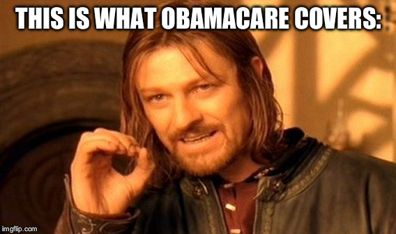 One Does Not Simply Meme | THIS IS WHAT OBAMACARE COVERS: | image tagged in memes,one does not simply | made w/ Imgflip meme maker