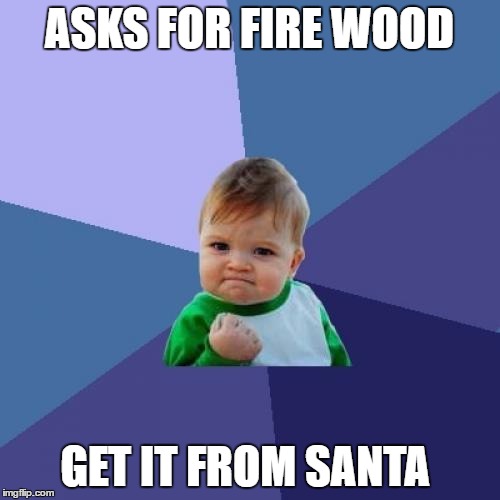 Success Kid Meme | ASKS FOR FIRE WOOD GET IT FROM SANTA | image tagged in memes,success kid | made w/ Imgflip meme maker