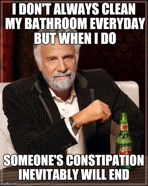 The Most Interesting Man In The World | I DON'T ALWAYS CLEAN MY BATHROOM EVERYDAY BUT WHEN I DO; SOMEONE'S CONSTIPATION INEVITABLY WILL END | image tagged in memes,the most interesting man in the world | made w/ Imgflip meme maker