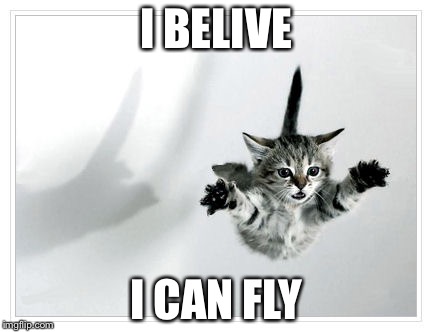 falling kitten | I BELIVE; I CAN FLY | image tagged in falling kitten | made w/ Imgflip meme maker