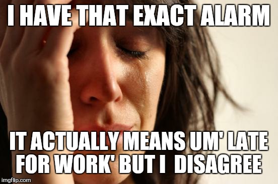 First World Problems Meme | I HAVE THAT EXACT ALARM IT ACTUALLY MEANS UM' LATE FOR WORK' BUT I  DISAGREE | image tagged in memes,first world problems | made w/ Imgflip meme maker