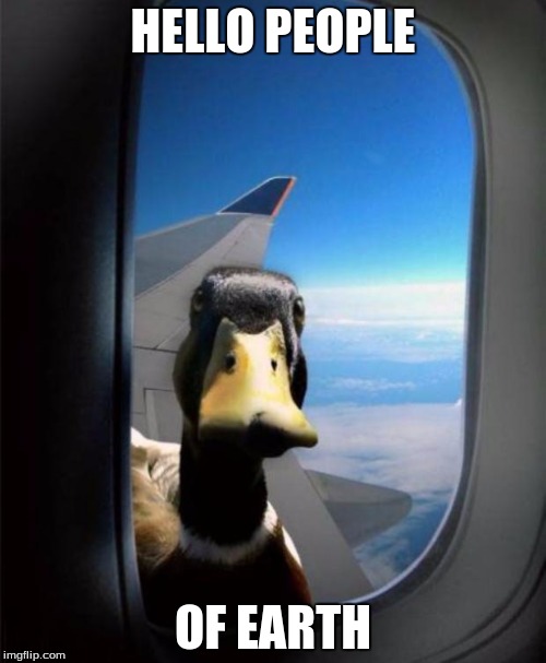 Duck on plane wing | HELLO PEOPLE; OF EARTH | image tagged in duck on plane wing | made w/ Imgflip meme maker