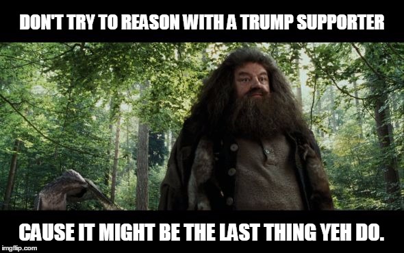 DON'T TRY TO REASON WITH A TRUMP SUPPORTER; CAUSE IT MIGHT BE THE LAST THING YEH DO. | image tagged in hagrid | made w/ Imgflip meme maker