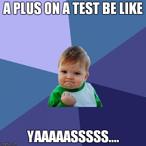 Success Kid | A PLUS ON A TEST BE LIKE; YAAAAASSSSS.... | image tagged in memes,success kid | made w/ Imgflip meme maker