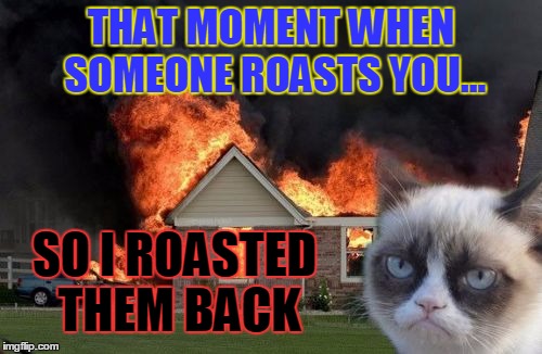 Burn Kitty | THAT MOMENT WHEN SOMEONE ROASTS YOU... SO I ROASTED THEM BACK | image tagged in memes,burn kitty | made w/ Imgflip meme maker