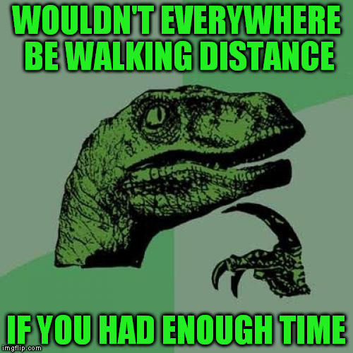 Philosoraptor | WOULDN'T EVERYWHERE BE WALKING DISTANCE; IF YOU HAD ENOUGH TIME | image tagged in memes,philosoraptor | made w/ Imgflip meme maker