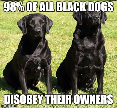 98% OF ALL BLACK DOGS; DISOBEY THEIR OWNERS | made w/ Imgflip meme maker