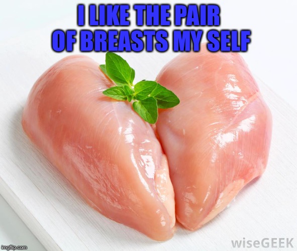 I LIKE THE PAIR OF BREASTS MY SELF | made w/ Imgflip meme maker