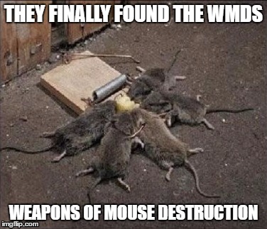I want to thank the Lord Jesus Christ and Raydog for this one... | THEY FINALLY FOUND THE WMDS; WEAPONS OF MOUSE DESTRUCTION | image tagged in twist of words | made w/ Imgflip meme maker