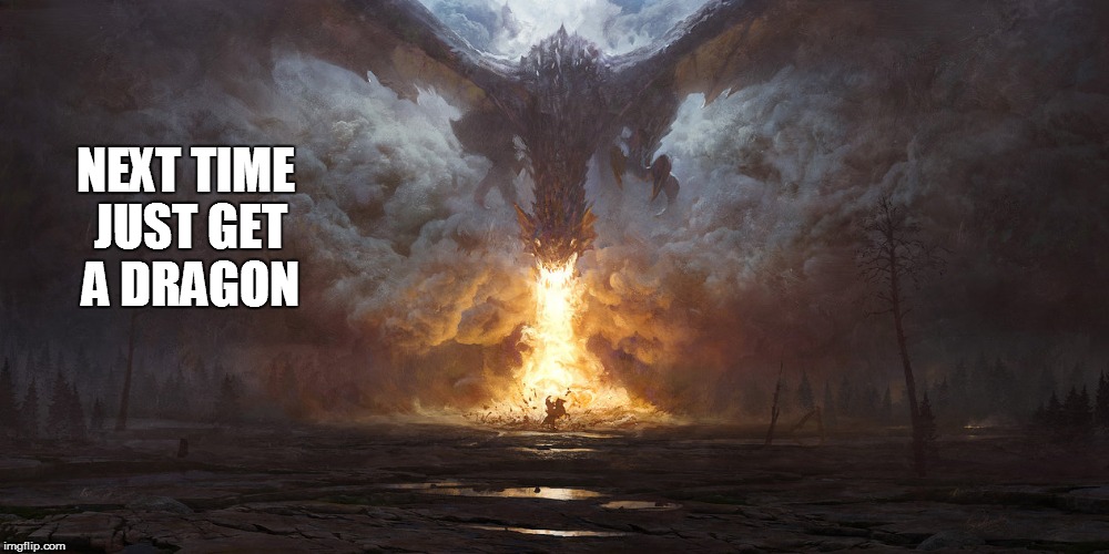 NEXT TIME JUST GET A DRAGON | made w/ Imgflip meme maker