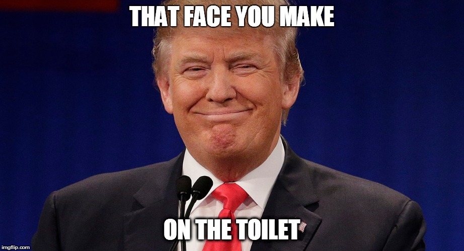 admit it... | THAT FACE YOU MAKE; ON THE TOILET | image tagged in smirking donald trump | made w/ Imgflip meme maker