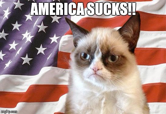 grumpy cat america | AMERICA SUCKS!! | image tagged in grumpy cat america | made w/ Imgflip meme maker