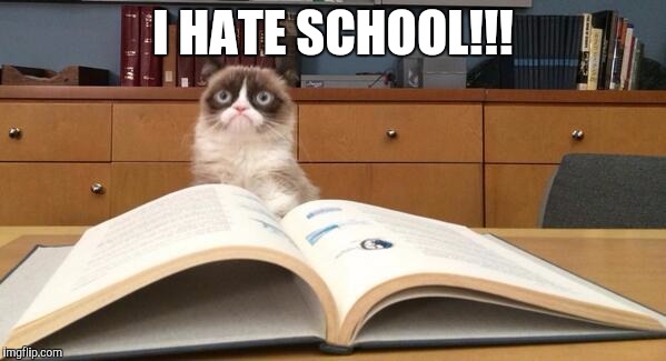 Grumpy Cat Studying | I HATE SCHOOL!!! | image tagged in grumpy cat studying | made w/ Imgflip meme maker