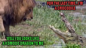 This inside joke was inspired by BryceJulyCat...you can find it's meaning here... https://imgflip.com/i/1azl38 | FOR THE LAST TIME...I'M A CROCODILE; WELL YOU LOOKE LIKE A KOMODO DRAGON TO ME | image tagged in komodo or crocodile,memes,animals,lion vs crocodile | made w/ Imgflip meme maker