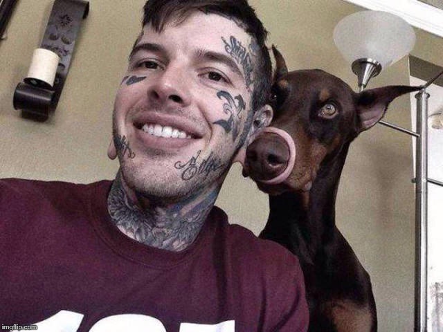 I don't have a joke today so here's a WTF?? picture for you  | THINGS THAT MAKE YOU GO WTF?? | image tagged in memes,wtf | made w/ Imgflip meme maker