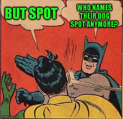 Batman Slapping Robin Meme | BUT SPOT WHO NAMES THEIR DOG SPOT ANYMORE? | image tagged in memes,batman slapping robin | made w/ Imgflip meme maker