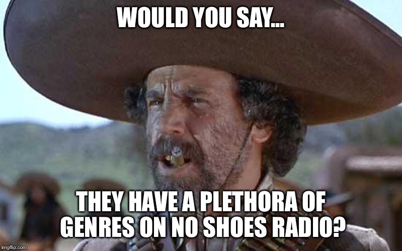 El Guapo | WOULD YOU SAY... THEY HAVE A PLETHORA OF GENRES ON NO SHOES RADIO? | image tagged in el guapo | made w/ Imgflip meme maker