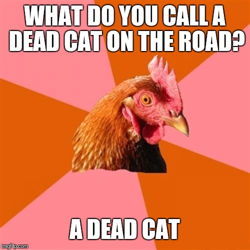 Anti Joke Chicken Meme | WHAT DO YOU CALL A DEAD CAT ON THE ROAD? A DEAD CAT | image tagged in memes,anti joke chicken | made w/ Imgflip meme maker