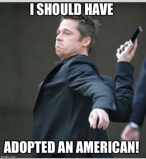Brad Pitt throwing phone | I SHOULD HAVE; ADOPTED AN AMERICAN! | image tagged in brad pitt throwing phone | made w/ Imgflip meme maker