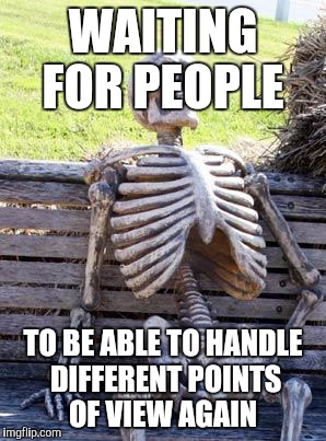Waiting Skeleton Meme | WAITING FOR PEOPLE TO BE ABLE TO HANDLE DIFFERENT POINTS OF VIEW AGAIN | image tagged in memes,waiting skeleton | made w/ Imgflip meme maker